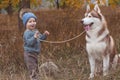 Baby boy in forest with husky dog Royalty Free Stock Photo