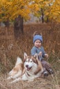 Baby boy in forest with husky dog Royalty Free Stock Photo