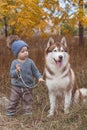 Baby boy in forest with husky dog Royalty Free Stock Photo