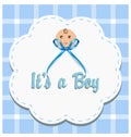 Baby boy gender reveal vector illustration