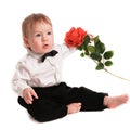 Baby boy gentleman suit and tie butterfly with rose Royalty Free Stock Photo