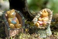 Baby boy and girl teddy bears Royalty Free Stock Photo