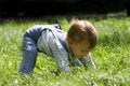 Baby boy in green grass Royalty Free Stock Photo