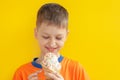 Baby boy kid eating vanilla ice cream with colorful candy in waffles cone and happy smiling on yellow background with free text Royalty Free Stock Photo