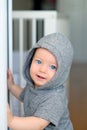 Baby boy with learning to walk Royalty Free Stock Photo