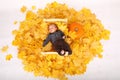 Baby boy lying on wooden bed in leaves by pumpkin - Halloween Royalty Free Stock Photo