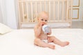 Baby boy 8 months old sitting in diapers on a white bed with a bottle of milk at home, baby food concept, first bait, place for Royalty Free Stock Photo