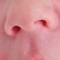 Baby boy nose close up, face newborn infant macro Royalty Free Stock Photo