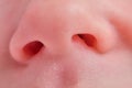 Baby boy nostrils close up, face newborn infant - nose macro Royalty Free Stock Photo