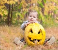 Baby boy outdoors with real pumpkin Royalty Free Stock Photo