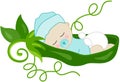 Baby boy pea in a green pod Royalty Free Stock Photo