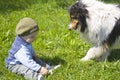 Baby boy and pet dog Royalty Free Stock Photo