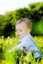 Baby boy play with dandelions Royalty Free Stock Photo