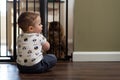 Baby boy playing in front of a baby gate with cat Royalty Free Stock Photo