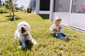 Cute and Adorable Young Toddler Baby Boy Playing in the Backyard Green Grass and Smiling at the Camera Royalty Free Stock Photo