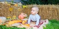 Baby boy is playing outside on a blanket around fall leaves. A boy is playing with corn. The autumn season Royalty Free Stock Photo