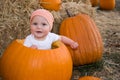 Baby boy sat in pumpkin