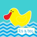 Baby boy shower card with funny duck. Royalty Free Stock Photo