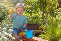 Baby boy is showing kids garden tools Royalty Free Stock Photo