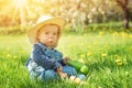 Baby boy sitting on the grass with dandelion flowers in the garden Royalty Free Stock Photo