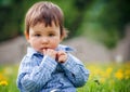 Baby boy sitting on the grass in field Royalty Free Stock Photo
