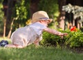 Baby boy sitting on the grass in the garden on beautiful spring Royalty Free Stock Photo