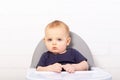 Baby boy sitting in trendy high chair. Royalty Free Stock Photo