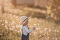 Baby boy standing in grass on the fieald with dandelions Royalty Free Stock Photo