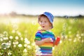 Baby boy standing in grass on the fieald with dandelions Royalty Free Stock Photo