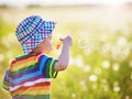 Baby boy standing in grass on the fieald with dandelions Royalty Free Stock Photo