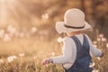 Baby boy standing in grass on the fieald with dandelions Royalty Free Stock Photo