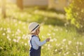 Baby boy standing in grass on the fieald with dandelions Royalty Free Stock Photo