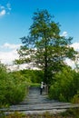 Baby boy stands on a wooden bridge over a river and blue sky Royalty Free Stock Photo