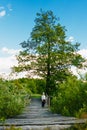 Baby boy stands on a wooden bridge over a river and blue sky Royalty Free Stock Photo