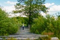 Baby boy stands on a wooden bridge over a river and blue sky Royalty Free Stock Photo