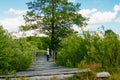 Baby boy stands on a wooden bridge over a river and blue sky Royalty Free Stock Photo