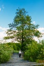 Baby boy stands on a wooden bridge over a river and blue sky Royalty Free Stock Photo