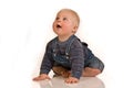 Baby boy in studio Royalty Free Stock Photo