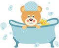 Baby boy teddy bear taking a bath with shower duck Royalty Free Stock Photo
