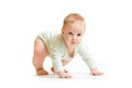 Baby boy toddler isolated trying to stand up Royalty Free Stock Photo