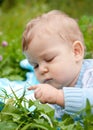 Baby boy touching grass and thinking Royalty Free Stock Photo