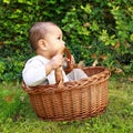 Baby boy in wicked basket biting handle