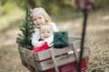 Baby Brother and Sister Pulled in Wagon with Christmas Tree Royalty Free Stock Photo