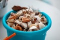 Baby bucket of seashells and stars Royalty Free Stock Photo