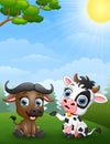 Baby buffalo and baby cow cartoon in the jungle Royalty Free Stock Photo