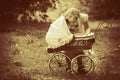 Baby buggy Royalty Free Stock Photo