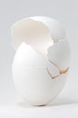 Baby Buggy Egg Shell Stack