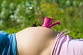 Baby bump Royalty Free Stock Photo