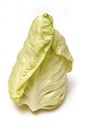 Baby cabbage leaf