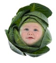 Baby among cabbage leaves